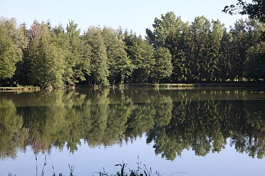 Bièvre isère - Itinéraire découverte de l’étang du marais