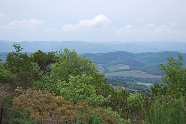 The circular