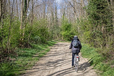 Randonnée VTT : Observatoire sur l'étang Grange Volet