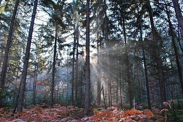 Autour des Mardelles