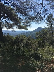Promenade : La Rouvière - Bagnols-en-forêt