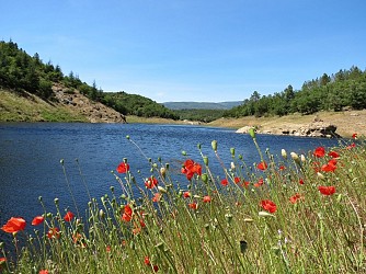 Promenade : Le lac de Méaulx - Saint-Paul-en-Forêt