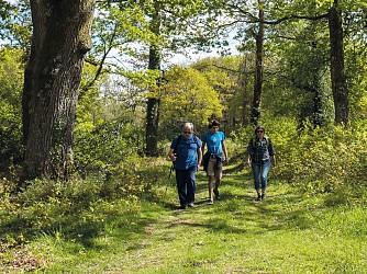 Saubole : Le long du Lées