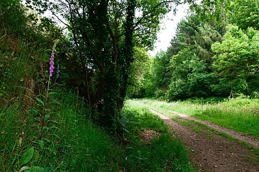 Circuit VTT n°9 - Ploufragan // Saint-Brieuc (vert)