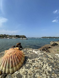 Côté Rance et campagne