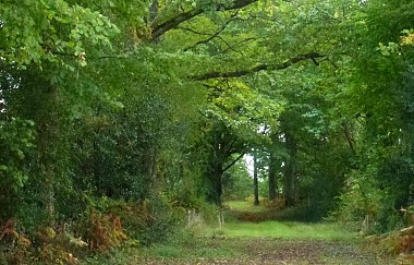 Chemin de Bonnefond
