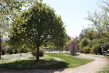 Circuit de la Fontaine du Chamort à Pezou