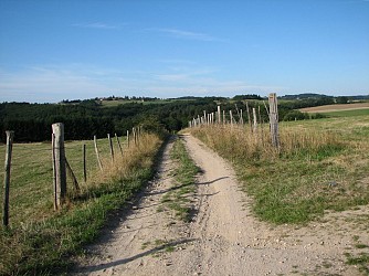 GR® de Pays Les Gorges de la Loire - Etape 2 : Biesse (Chambles) / Aurec-sur-Loire