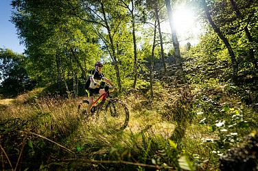 N° 14 - Le débutant - Espace VTT-FFC Massif des Bois Noirs