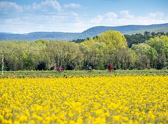 La plaine des Sauzets