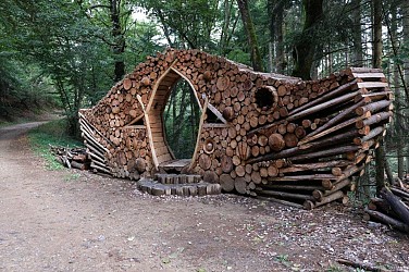 La forêt de la Cantinière