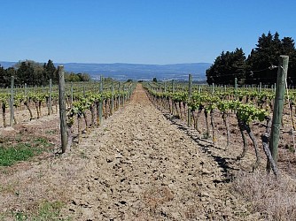 Circuit de la Malepère