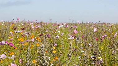 circuit des Coteaux de Giverny