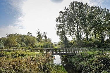 Le Petit Marais