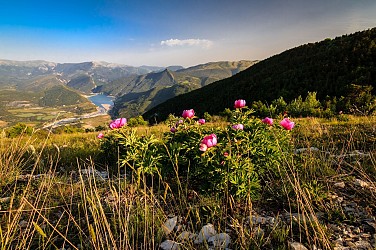 Le Sommet de Chalvet (1613 m)