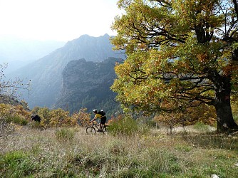 La Colle - Brayal