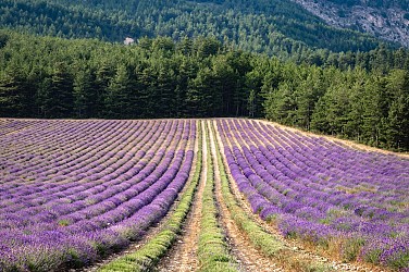 Le Tour du Clos de Combes