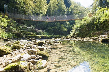 Circuit de découverte de la Bienne