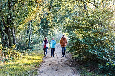 Circuit des voies romaines - Bois d'Avaugour