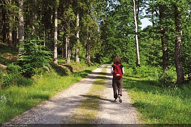 Boucle n°1 - Aux Sources de l'Ardenne