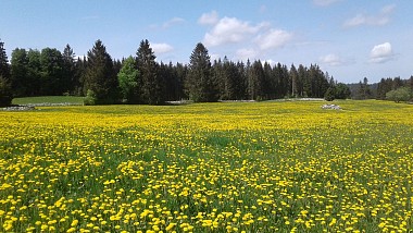Les Préhez