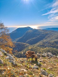 Castillon - Path n° 1Itinerary of walk around the village of Castillon