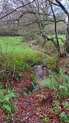 La source de l'Ecoute s'il pleut