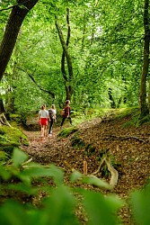 Autour de Jeanne d'Arc