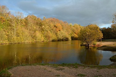 L'étang de la Lande