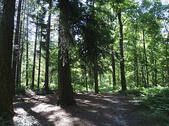 image du circuit
