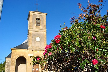 Le sentier de Chaillant