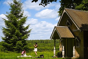 Entre mares et forêts
