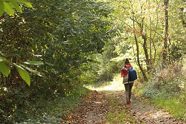 Circuit de Val Beuzet n°115