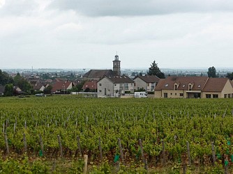Rando santé à Marsannay la Cote