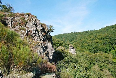 La Luzège aux eaux vives