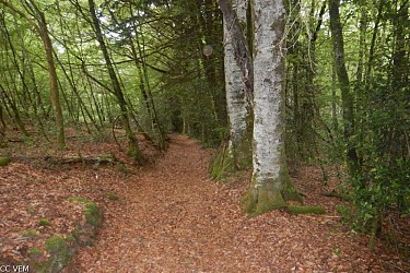 Les chemins de la sombre