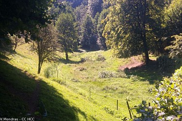 Along the water's edge (Saint-Hilaire)