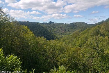 The charcoal burners' trail