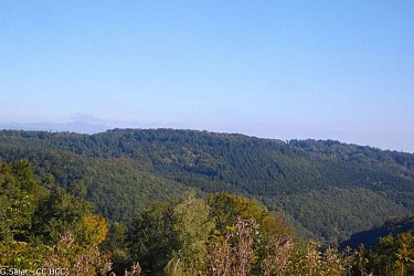 Lemovices or Arvernes - circuit 1