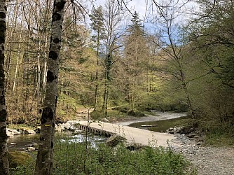 Sentier des Deux Hêtres