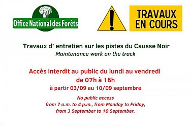 VTT N°66 - La forêt du Cade