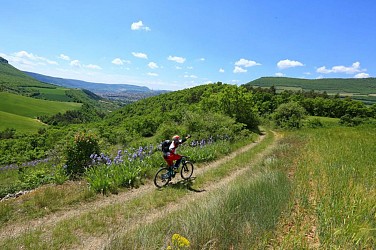 VTT N°92 - Le Causse Rouge