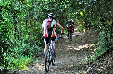 VTT N°61- Les Buissières du Larzac