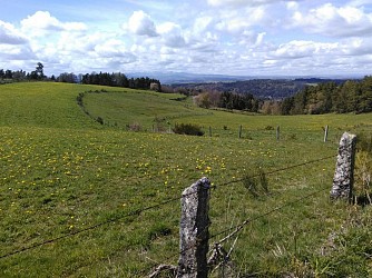 GR® de Pays Tour des Monts d'Aubrac : De La Chaldette à Termes