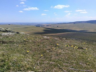 GR® de Pays Tour des Monts d'Aubrac : De Laguiole à Saint-Urcize