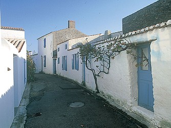 La Sente des Marais - L'île d'Yeu