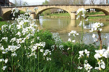 Sur les pas de d'Artagnan