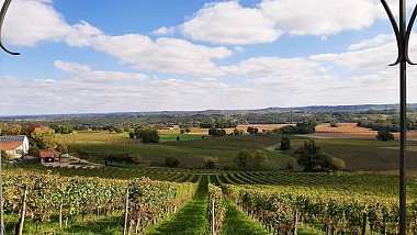 Château Viella -Tannat