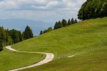 Cycling loop: Plateau des Bornes Nord