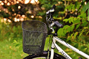 La plaine viticole et maraîchère de Saint-Maximin à vélo